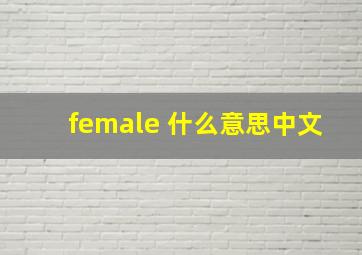 female 什么意思中文